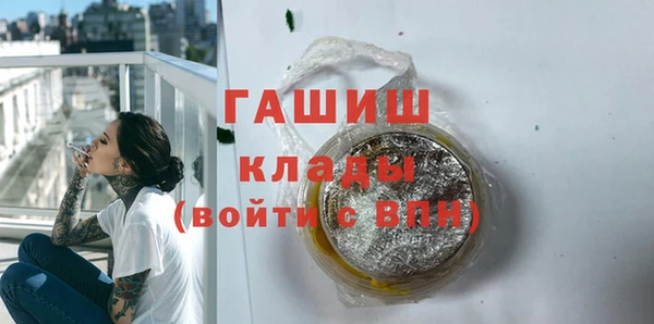 прущие грибы Лабытнанги