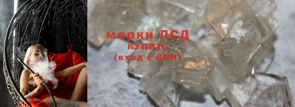 хмурый Белокуриха