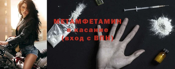 хмурый Белокуриха
