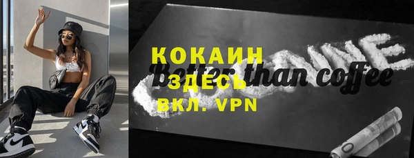 хмурый Белокуриха