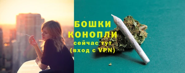 хмурый Белокуриха