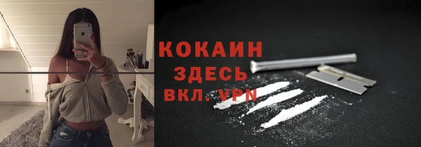 хмурый Белокуриха