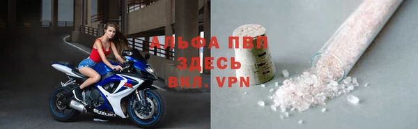 хмурый Белокуриха