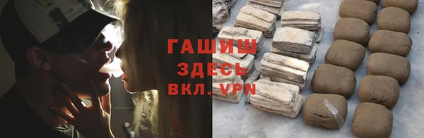 хмурый Белокуриха