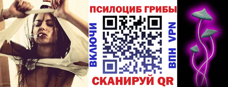 хочу   Кыштым  Галлюциногенные грибы прущие грибы 